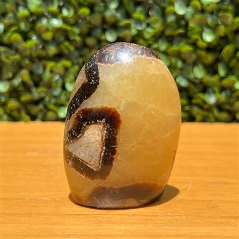 Septarian Gemstone Buy Online The Crystal Society The Crystal