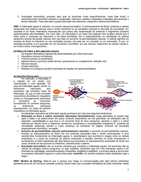 SOLUTION Inflama O Aguda Resumo Studypool