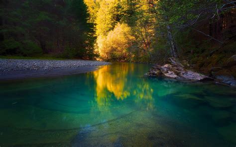 Fond d écran lumière du soleil des arbres paysage forêt Lac eau