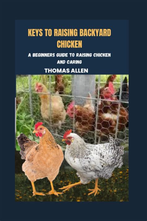 Keys To Raising Backyard Chicken A Beginner S Guide To Raising Chicken