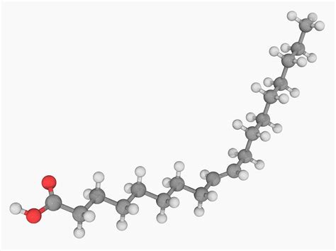 Oljesyra Cis Och Elaidic Acid Trans Omega 9 Fettsyror är 45 Off