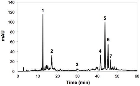 Typical HPLC DAD Chromatogram Shown At 320 Nm From Methanol