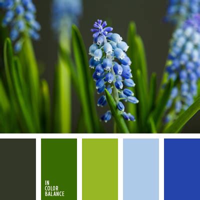 холодная цветовая палитра | IN COLOR BALANCE