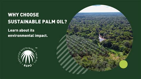 Impacto Ambiental Mesa Redonda Sobre Aceite De Palma Sostenible RSPO