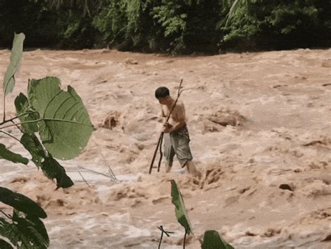 男子手持树杈被困激流网友：这个站位腰马合一救援防火绳索