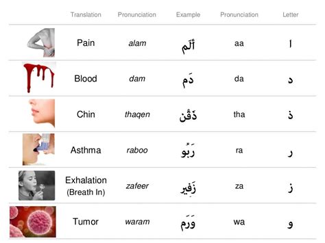 Arabic Alphabet For Medical Use