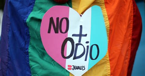 Omofobia non gli vendono un gatto perché gay Ma solo chi discrimina è sbagliato Il Fatto