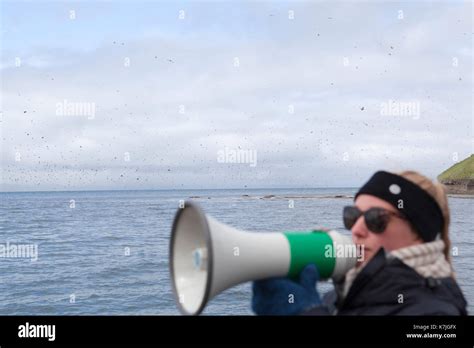 Whale Watching Guide Hi Res Stock Photography And Images Alamy