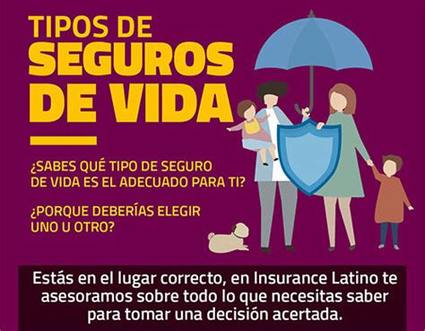 Tipos De Seguros De Vida Insurancelatino Ahorre En Su