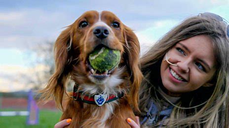 blue peter challenges abbys dog agility challenge bbc iplayer