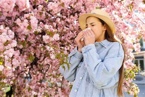 Miel et allergie au pollen un remède naturel à découvrir