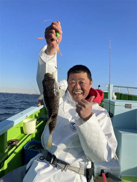 フグの釣果｜2023年11月21日｜野毛屋釣船店（神奈川県金沢八景平潟）｜キャスティング釣り船予約