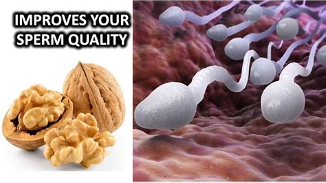 How Walnuts Can Improve Your Sperm Health Youtube