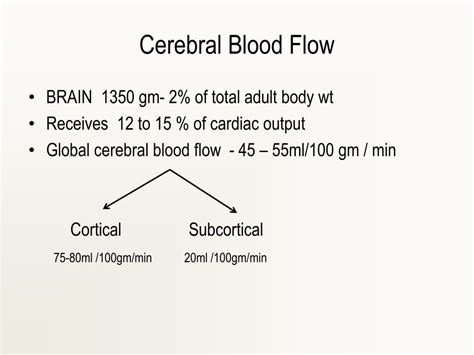 PPT Cerebral Blood Flow Regulation Measurement Of CBF CMR