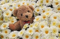 Romantic Teddy Bears Stock Photos, Images, & Pictures - 1,115 Images