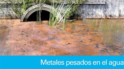 Ducha Espalda Amigo Tratamiento De Aguas Con Metales Pesados Menos