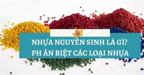 tim hieu ve dac diem cau tao nhua nguyen sinh