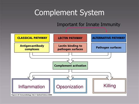 Ppt Micr Immunology Serology Powerpoint Presentation Free