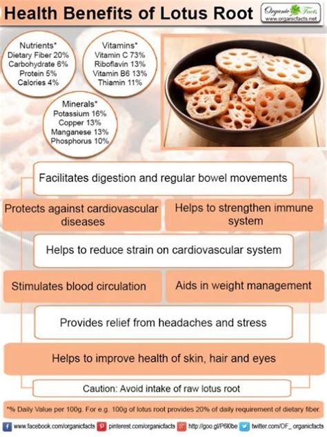 16 Scientifically Proven Health Benefits Of Lotus Root How To Ripe