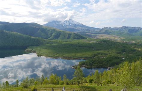 Gifford Pinchot National Forest | Gifford pinchot national forest ...