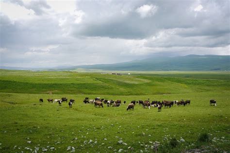 Being the One in Armenia - Bike Ramble