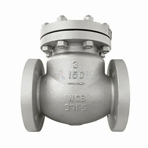 Ksb Cast Steel Check Valve Flanged End Model Namenumber Ecoline Scv 150 600 Size 2 To 24