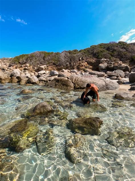 The Best Corsica Beaches (Dog Friendly!) - Adventures of Ace