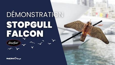 Stopgull Falcon La Solution Pour Prot Ger Votre Bateau Youtube