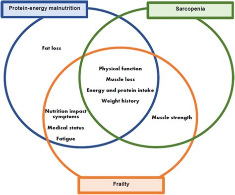 Post Discharge Consequences Of Protein Energy Malnutrition Sarcopenia