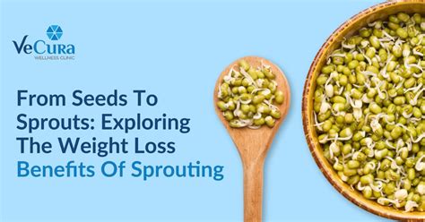 5 Benefits Of Sprouts For Weight Loss Vecura Wellness