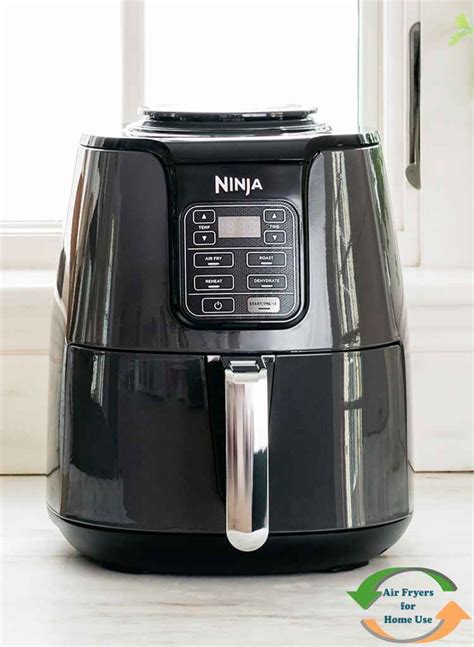 Ninja Air Fryer Af Review