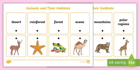 Animals and their Habitats Thread Matching Activity - Twinkl