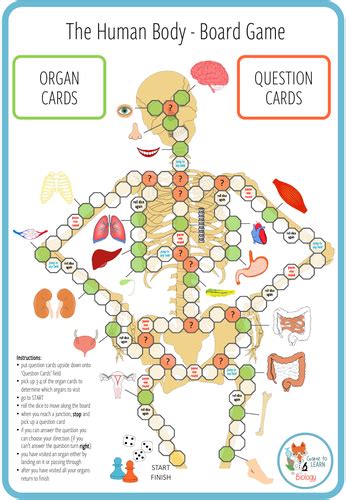 Human Body Board Game Ks3 4 Teaching Resources