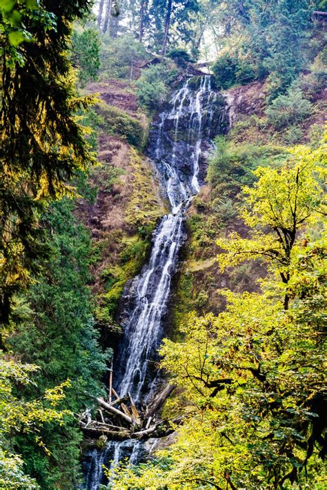 The 24 Best Waterfalls Near Me In Oregon Top Rated Local Falls