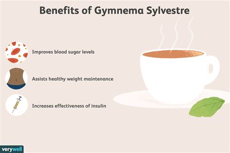 Gymnema Sylvestre Benefits Side Effects Dosage And Interactions