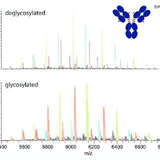 Analysis Of The Antibody Drug Conjugate Brentuximab Vedotin Adcetris