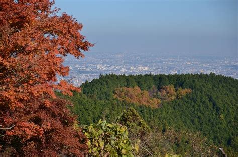 Autumn Leaves of Mt. Takao - The best time to see them is mid-November ...