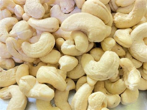 Raw Ivory SSW Cashew Nut At Rs 629 Kg In Kota ID 24590655688