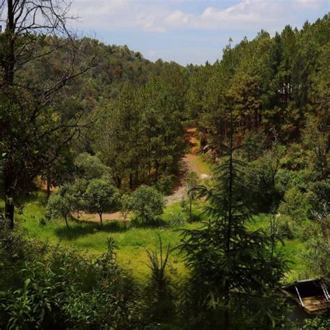 Glamping Secreto En El Bosque Cerca Del Centro Ceremonial Otom