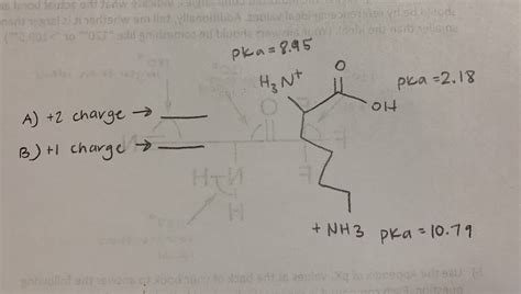 Answered Pka 8 95 H3 Nt Pka 2 18 A 2 Charge Bartleby