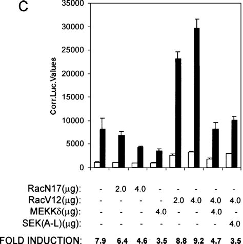 The Sek Mkk Upstream Components Vav Rac And Mekk Are Involved In