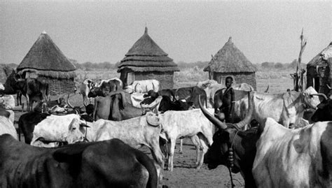 Nuer Second Largest Ethnic Group In South Sudan And One Of The Oldest Nilotic Tribes The