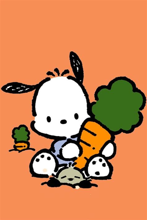 Pin By Veronica Sarmiento On Pochacco Sanrio In Sanrio Kawaii