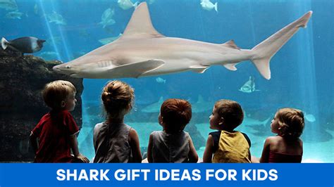 21 Best Shark Gifts for Kids (Toys & Other Stuff)- JoshGoot