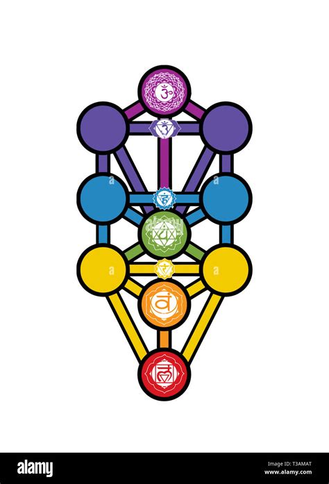 Árbol de la vida Cábala judía alquimia espiritual numerología hebrea