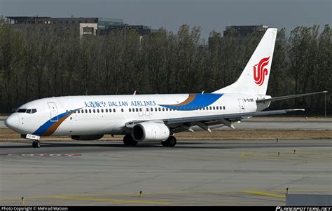 B 5196 Dalian Airlines Boeing 737 86N Photo By Mehrad Watson ID