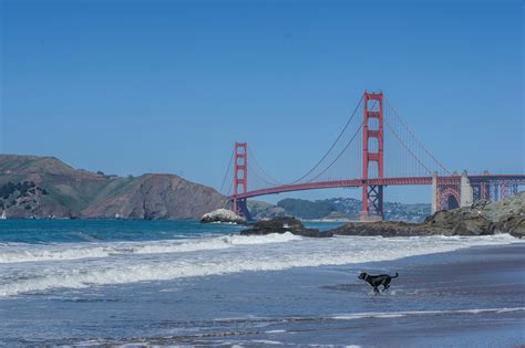 Fotos Gratis Playa Mar Costa Oceano Puente Apuntalar Ola