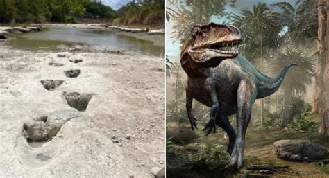 Sequía en Texas deja al descubierto huellas de dinosaurios de hace 113