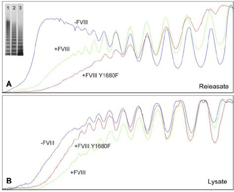 Multimer Size Of Vwf Secreted By Nontransduced Fviii Yfp And Download Scientific Diagram