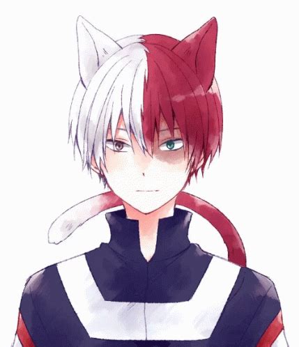 Todoroki GIFs | GIFDB.com